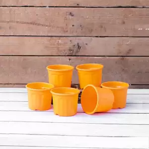 3 inch (8 cm) Grower Round Plastic Pot (Orange) (set of 6)