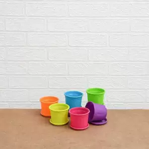 3 inch (8 cm) Grower Round Plastic Pots with Plates (Mix Color) - Pack of 6