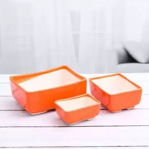 Bonsai Rectangle Ceramic Pots - Pack of 3